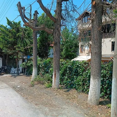 Telpher * Sapanca